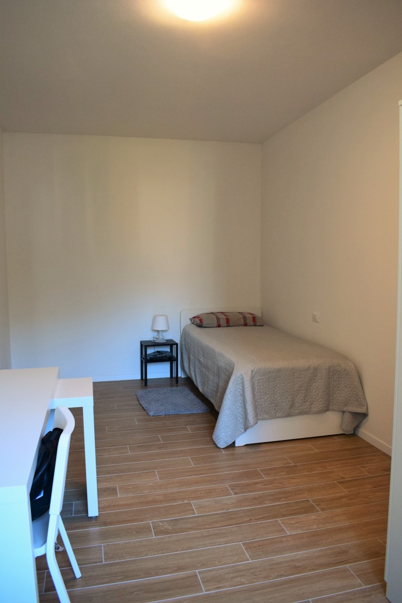 Single Near the Center of Trento
