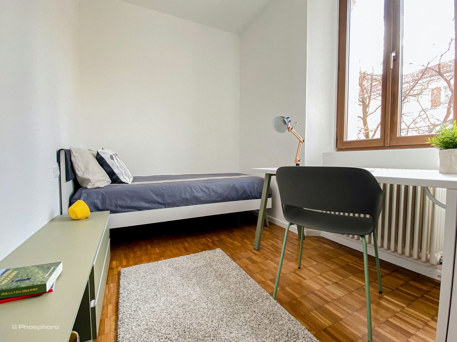 Charming Single Room in Student Apartment